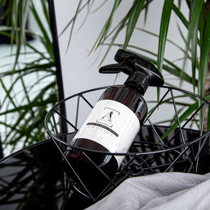 Asscents Kvapnus purškiamas stiklo ir langų valiklis EMOTION 500 ml. - kvapai - Damų Kampelis