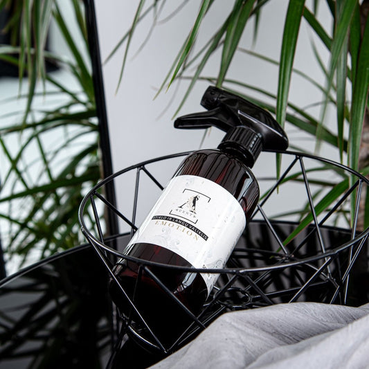 Asscents Kvapnus purškiamas stiklo ir langų valiklis EMOTION 500 ml. - kvapai - Damų Kampelis