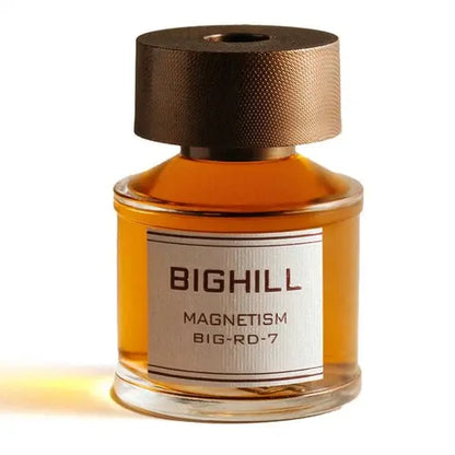 EYFEL BIGHILL MAGNETISM namų kvapas su lazdelėmis, 120ml