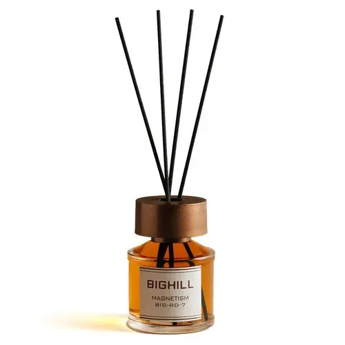 EYFEL BIGHILL MAGNETISM namų kvapas su lazdelėmis, 120ml