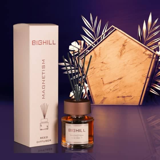 EYFEL BIGHILL MAGNETISM namų kvapas su lazdelėmis, 120 ml